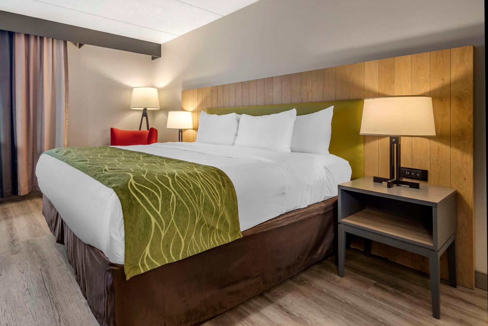 Comfort Inn & Suites Liverpool - Syracuse North المظهر الخارجي الصورة